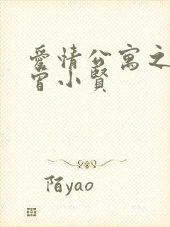 爱情公寓之极品曾小贤