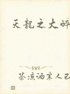 天龙之大醉侠