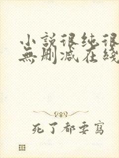 小说很纯很暧昧无删减在线阅读