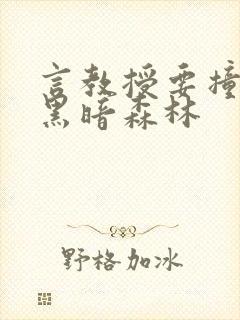 言教授要撞坏了黑暗森林封面