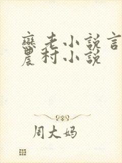 恋老小说言情网农村小说