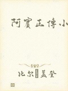 阿宾正传小说