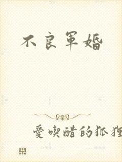 不良军婚封面