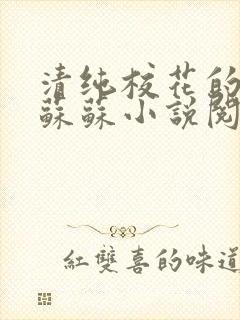 清纯校花的日常苏苏小说阅读全文