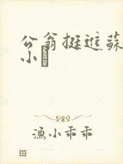 公翁挺进苏玥的小泬
