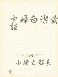 少妇白洁黄色小说