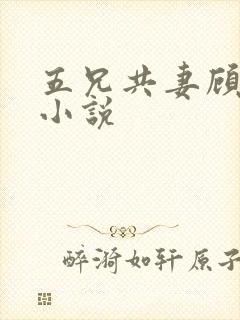 五兄共妻顾心儿小说封面