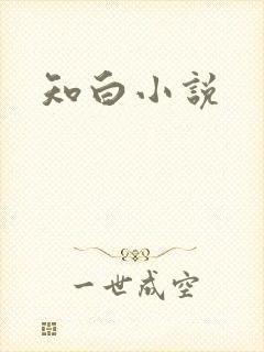 知白小说