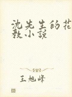 沈先生的花式调教小说封面