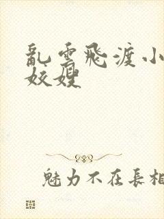 乱云飞渡小说之姣嫂