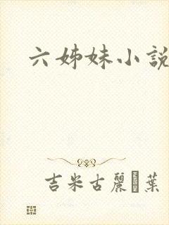 六姊妹小说