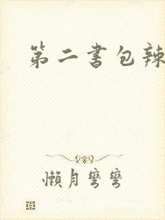 第二书包辣文