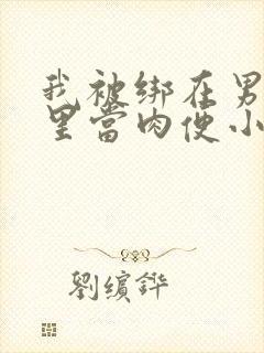 我被绑在男公厕里当肉便小说封面