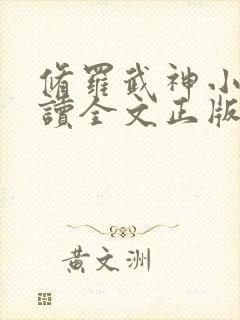 修罗武神小说阅读全文正版封面