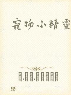 宠物小精灵漫画封面