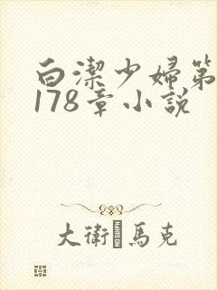 白洁少妇第1一178章小说