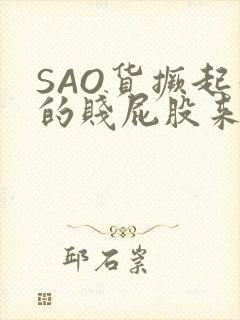 SAO货撅起你的贱屁股来