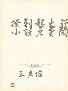 撩到起火舒漾的小说免费阅读全文