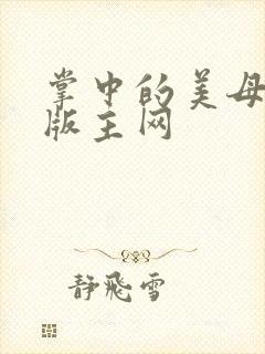 掌中的美母第一版主网