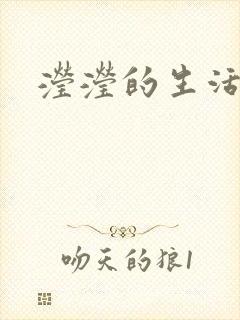 滢滢的生活日记