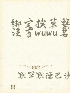 绑定挨草系统后没有wuwu名字