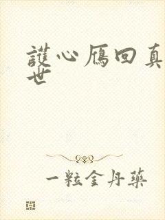 护心雁回真实身世封面