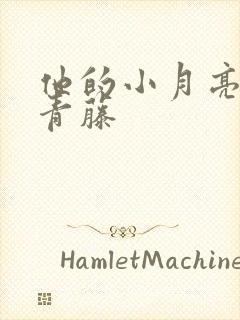 他的小月亮by青藤