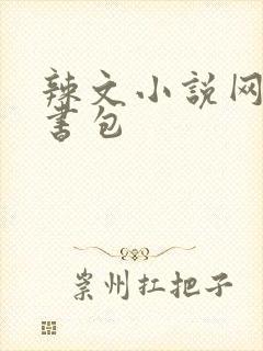 辣文小说网第二书包