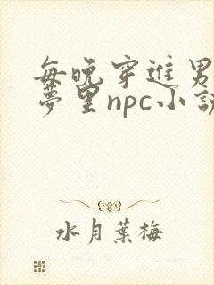每晚穿进男神的梦里npc小说封面