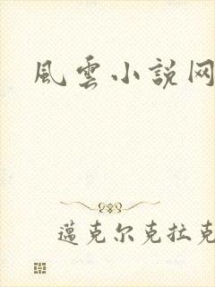 风云小说网