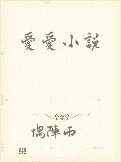 爱爱小说