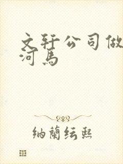 文轩公司做扩张河马