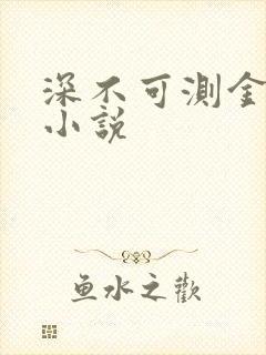 深不可测金银花小说封面