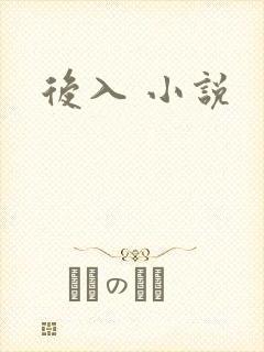 后入 小说