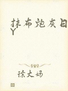 抹布炮灰日记BY封面