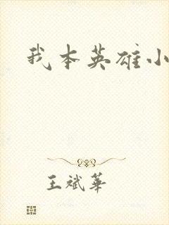 我本英雄小说