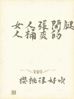 女人张开腿让男人桶爽的封面