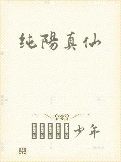 纯阳真仙
