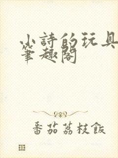 小诗的玩具日记笔趣阁封面