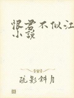 恨君不似江楼月小说