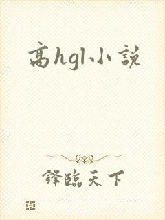 高hgl小说封面