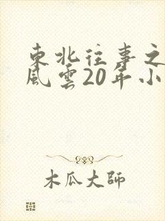 东北往事之黑道风云20年小说