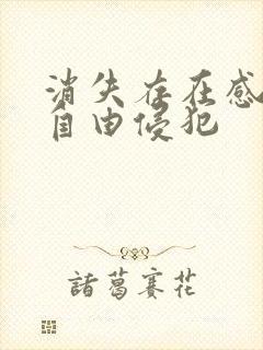 消失存在感消失自由侵犯封面