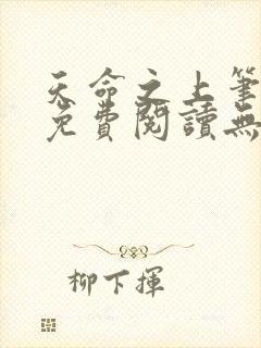 天命之上笔趣阁免费阅读无弹窗