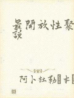 最开放性聚会小说