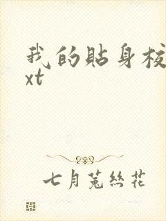 我的贴身校花txt