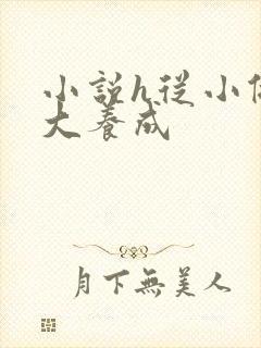 小说h从小做到大养成