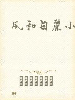 风和日丽小说
