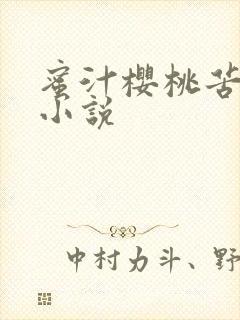 蜜汁樱桃苦咖啡小说