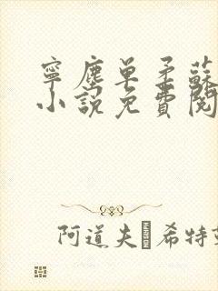 宁尘单柔苏千雪小说免费阅读最新